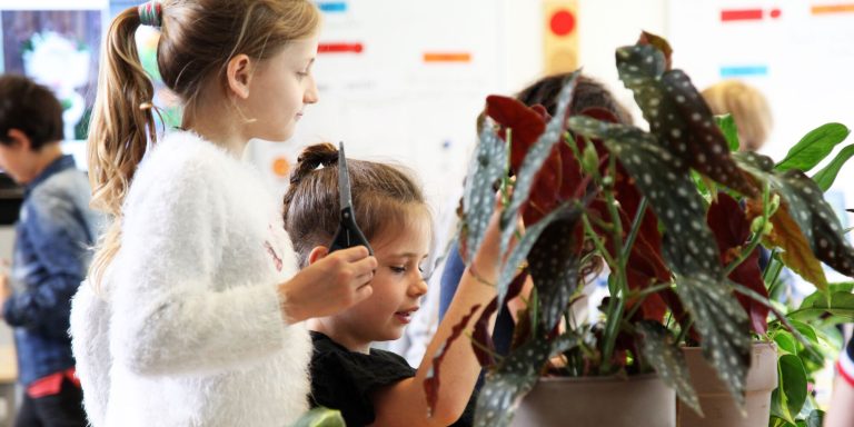 Leerlingen leren plantjes stekken met een IVN BinnenBos