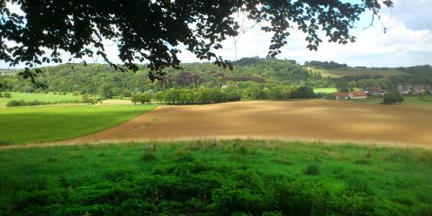 Het Geuldal in Nationaal Landschap Zuid-Limburg