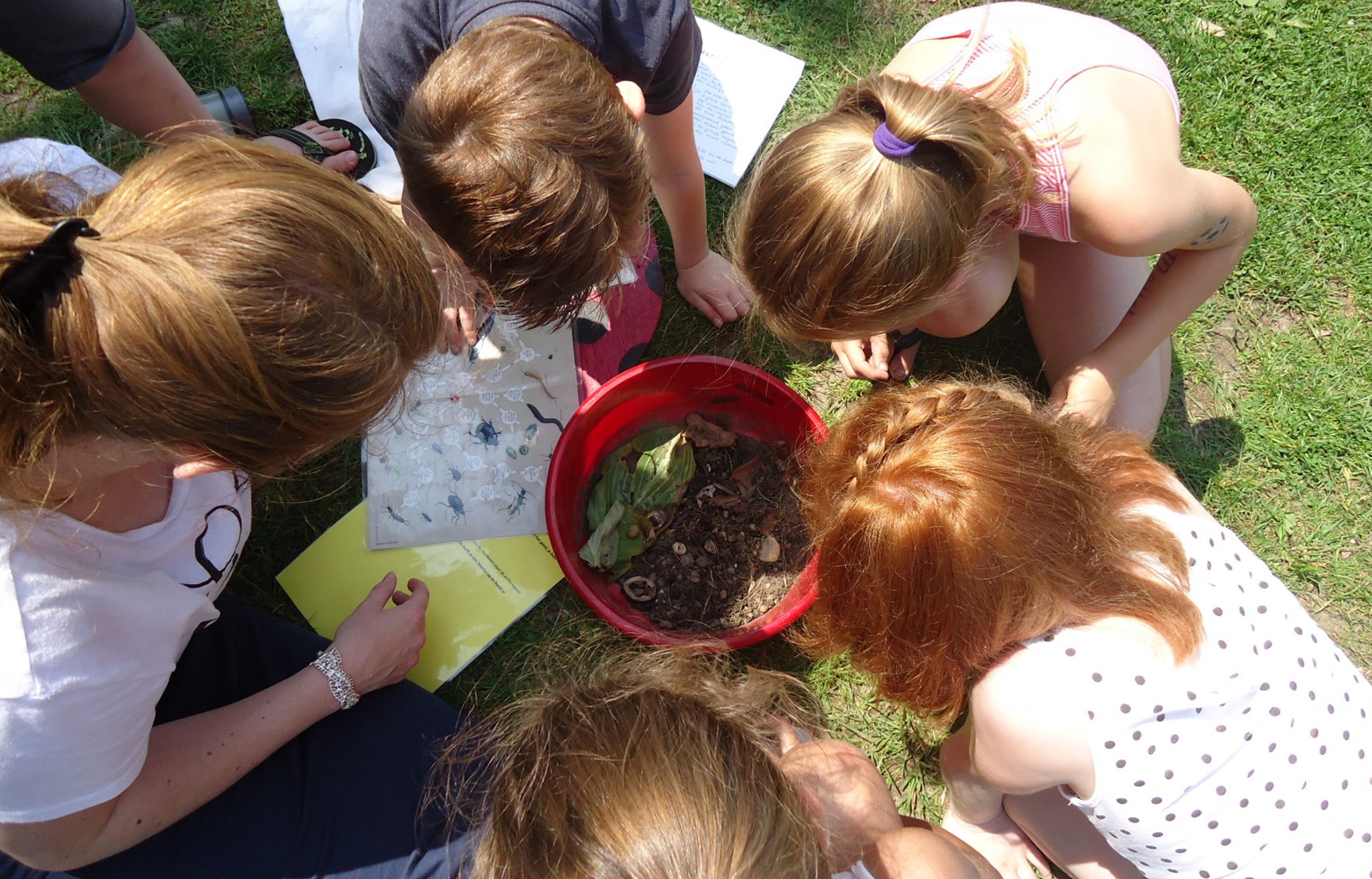 Kinderen onderzoeken bodem in emmer