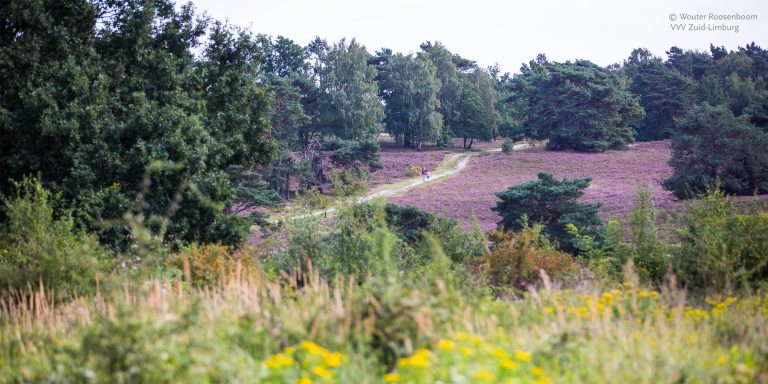 Heuvellandschap op Brunssumerheide in Stadsregio Parkstad