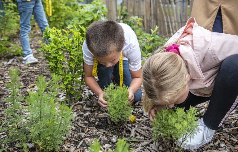 Kinderen proeven van Voedselbosje
