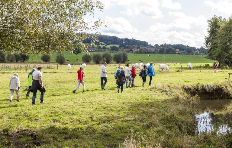 Wandelaars bij heuvels