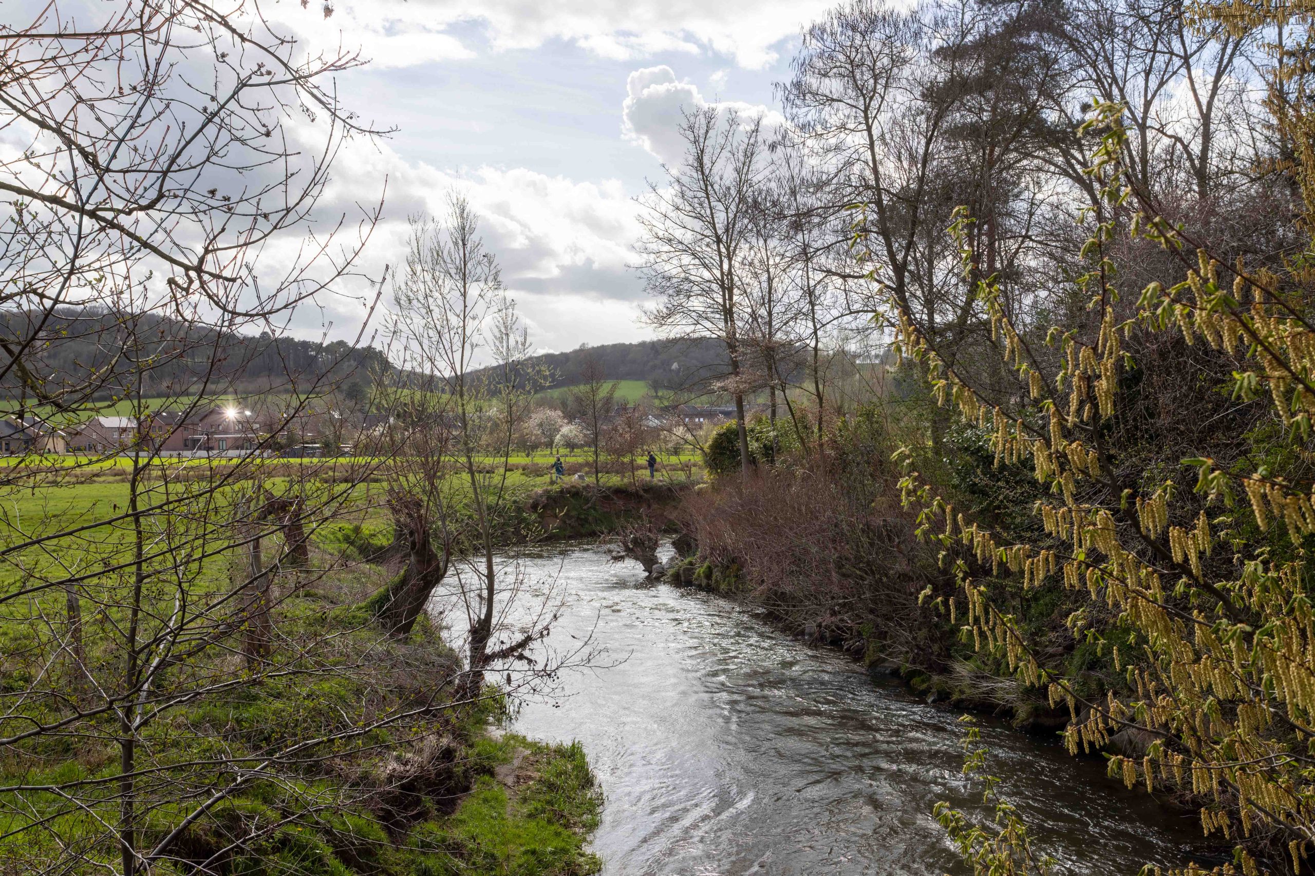 Landelijk landschap met rivier, bomen en weiden onder een bewolkte hemel in de verte.