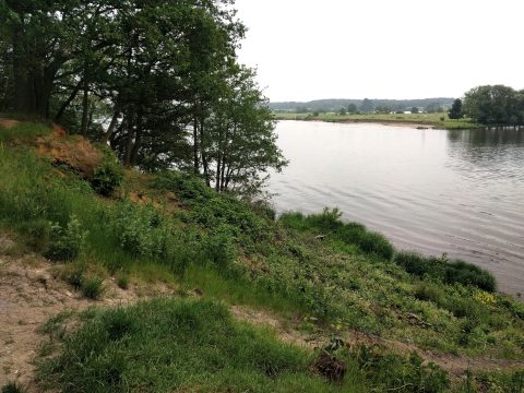 Landschap bij grens grind en zand Maas. Foto door Harrie Peeters, IVN Helden