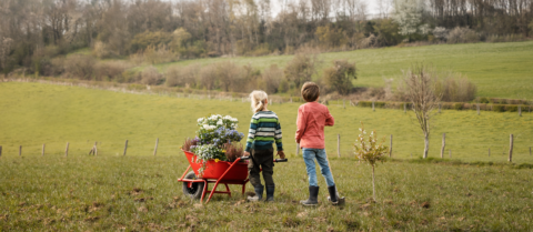 Kinderen met kruiwagen vol planten in grasland