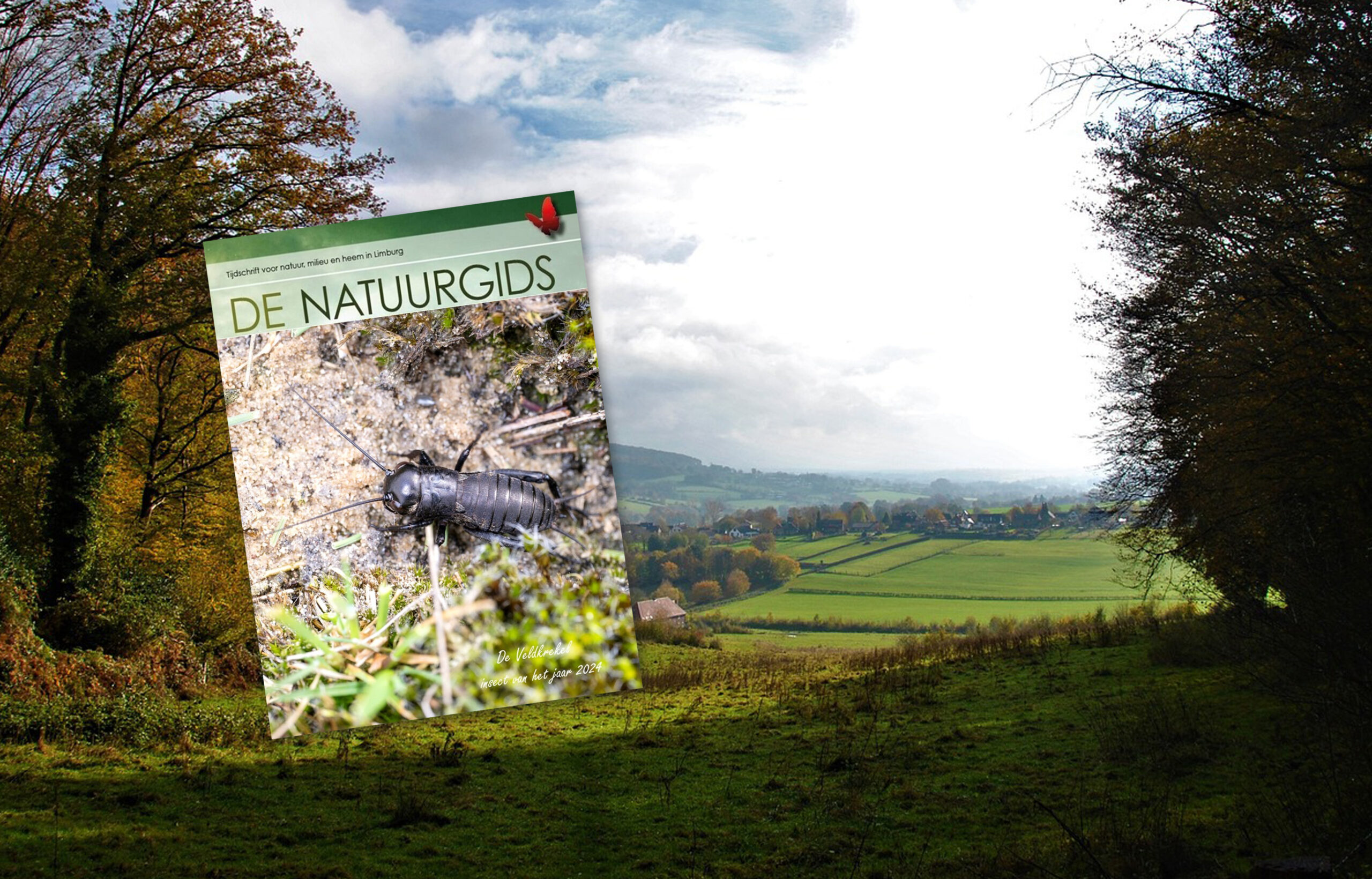 Omslag van "De Natuurgids" met een insect, over een groen landschap met dorpszicht.