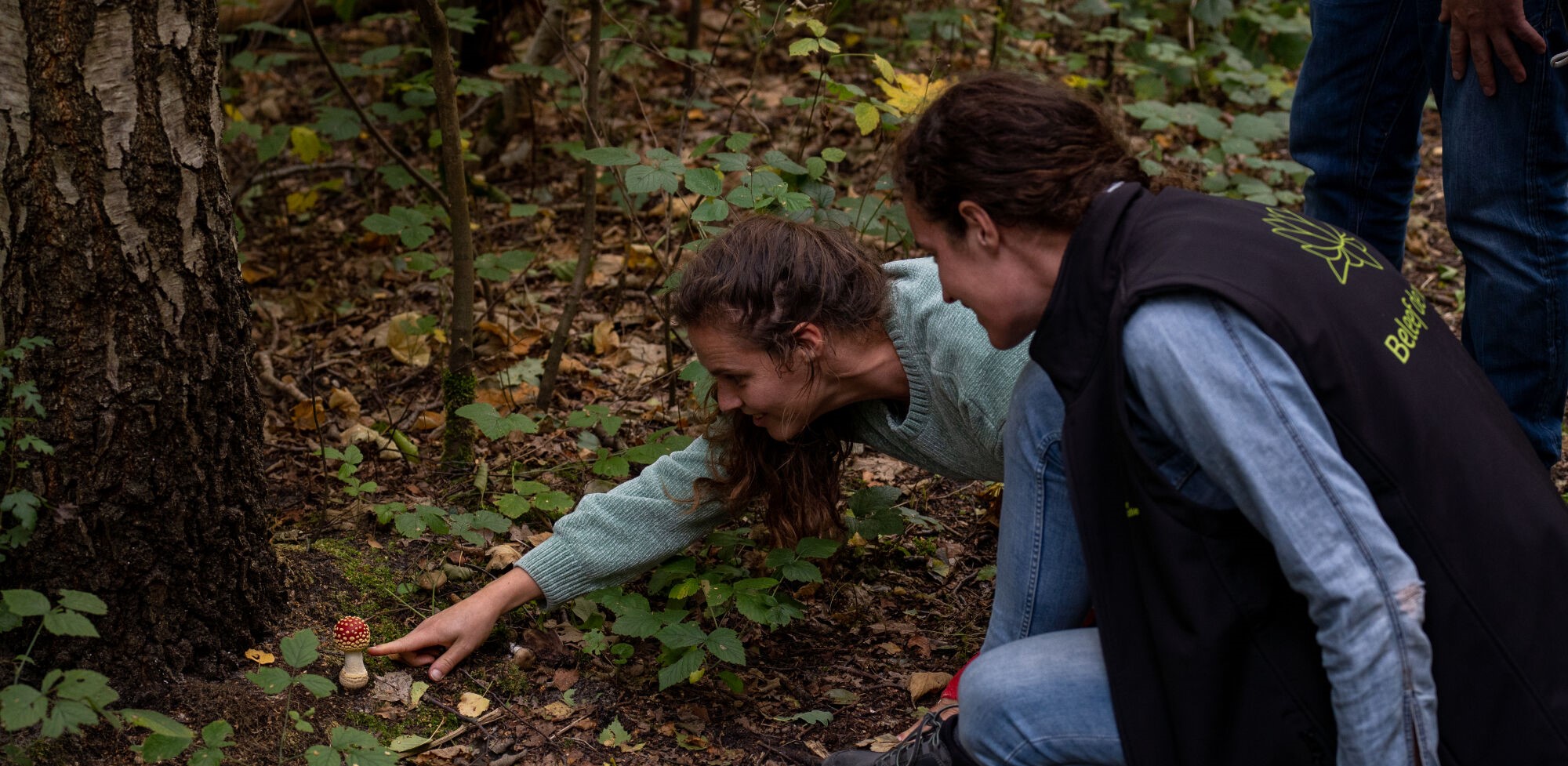 Twee mensen bekijken een kleine paddenstoel in een bos vol bladeren en planten.