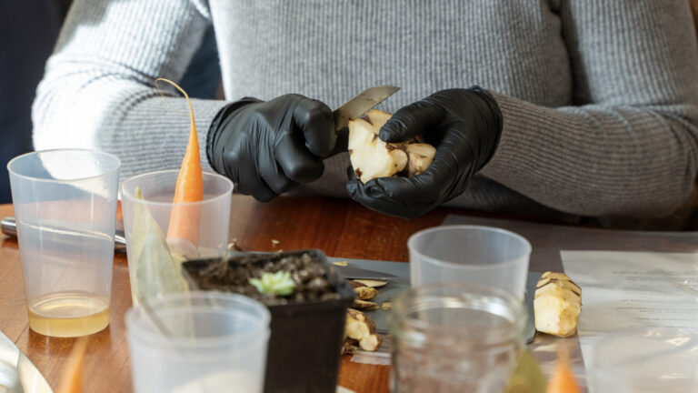 Persoon in grijze trui schilt groente met zwarte handschoenen, omringd door bekers en potje.