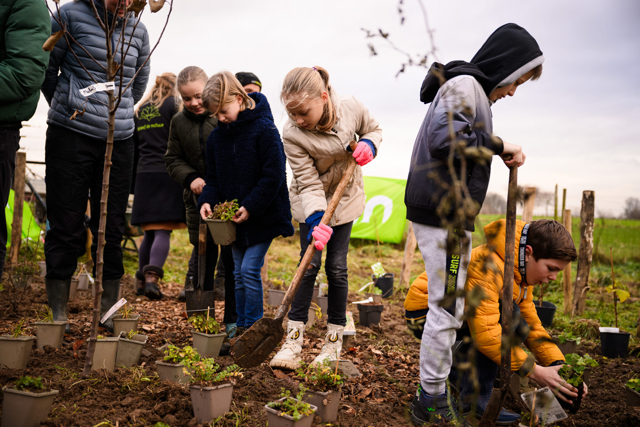 Kinderen planten zaailingen in een tuin met scheppen en bloempotten.