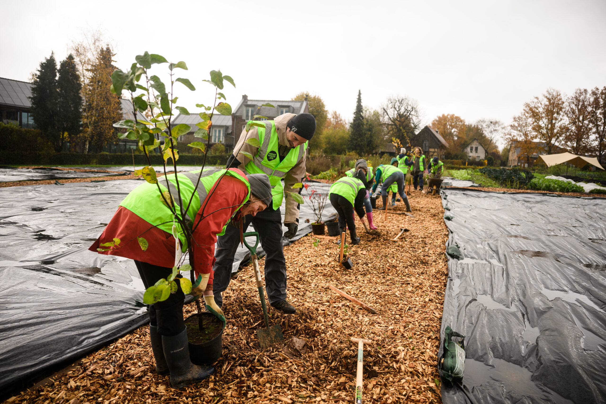 Mensen planten bomen in een veld, gekleed in groene veiligheidsvesten.