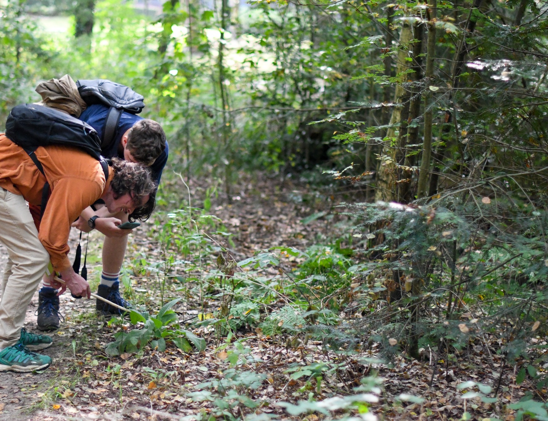 Twee mensen onderzoeken planten in een bos met rugzakken en een telefoon in de hand.
