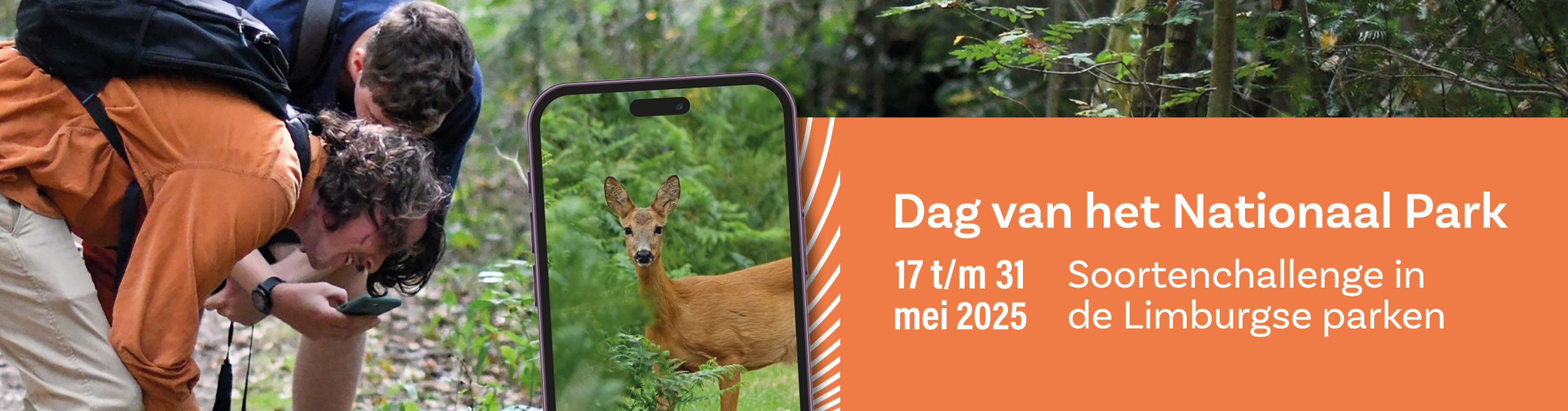 https://www.ivn.nl/app/uploads/sites/32/2025/05/Dag-vh-NP-Limburg-banner.jpg