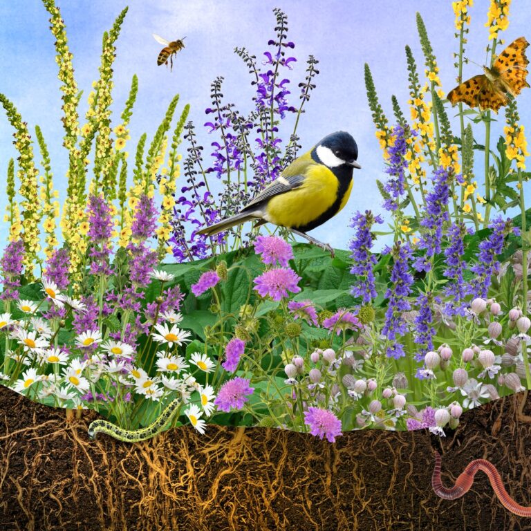 Vogeltje en bloemen in bloeiende tuin met insecten en dieren boven kleurrijke wortels.