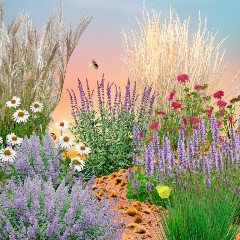 Veld met kleurrijke bloemen, graspluimen en insecten tegen een pastel gekleurde hemel.