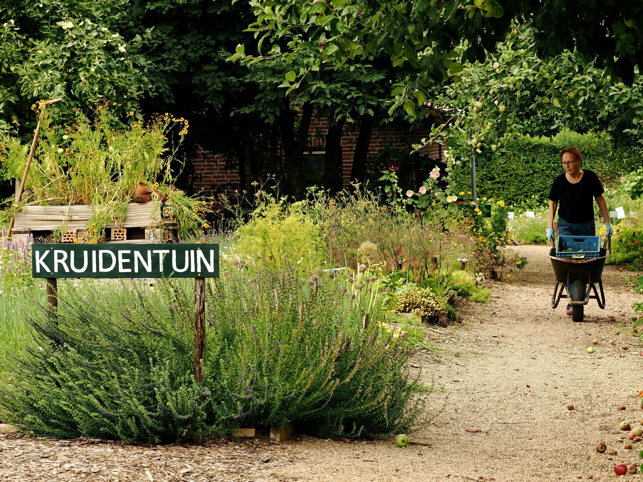 Kruidentuin met bord vooraan; persoon in zwarte kleding duwt een kruiwagen over het grindpad.