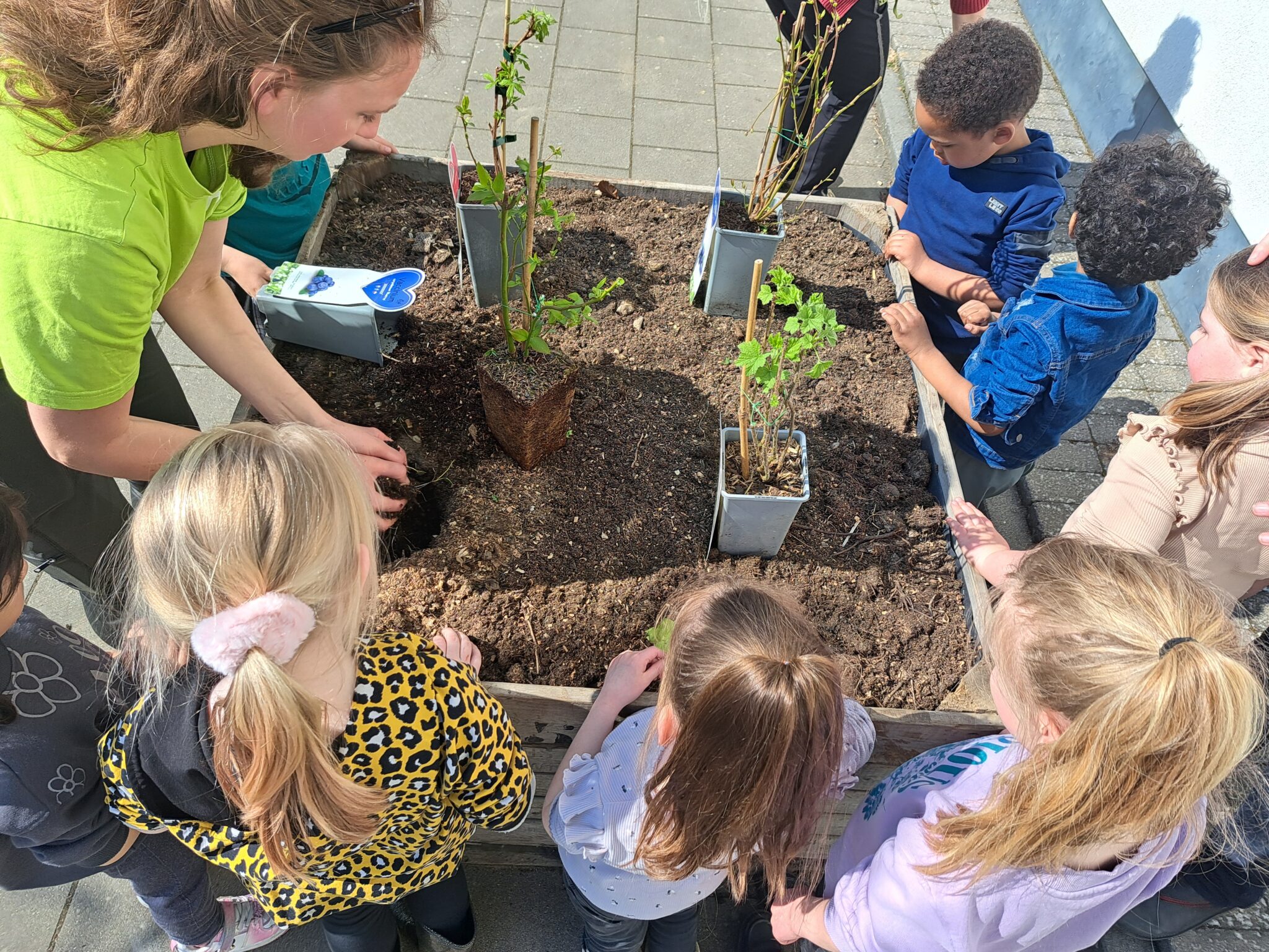 Volwassene en kinderen planten samen in een verhoogde bak op een zonnige dag.