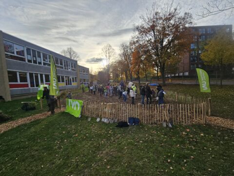 Kinderen planten bomen op een grasveld bij een school, omringd door herfstbomen en groene vlaggen.
