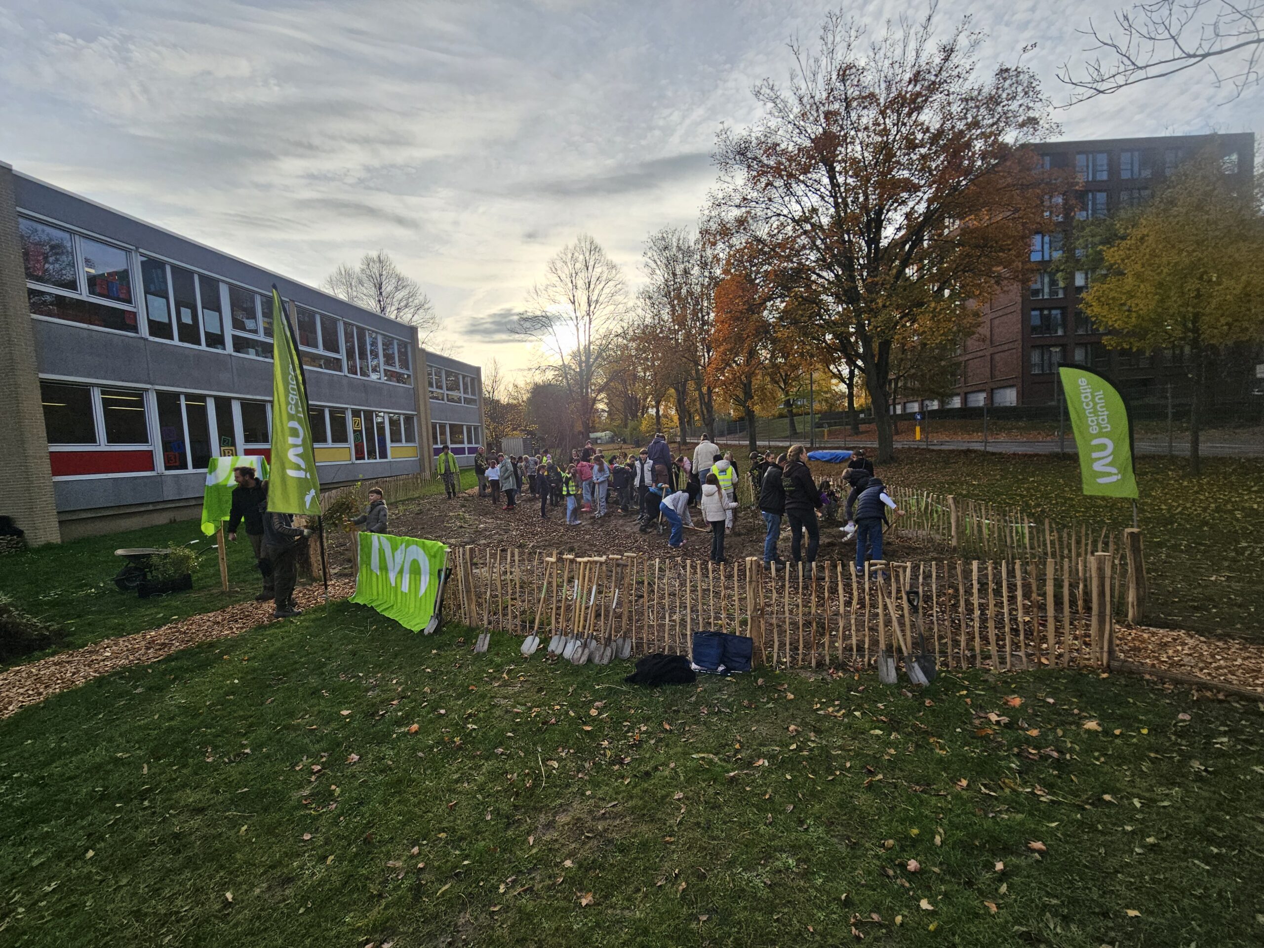 Kinderen planten bomen op een grasveld bij een school, omringd door herfstbomen en groene vlaggen.