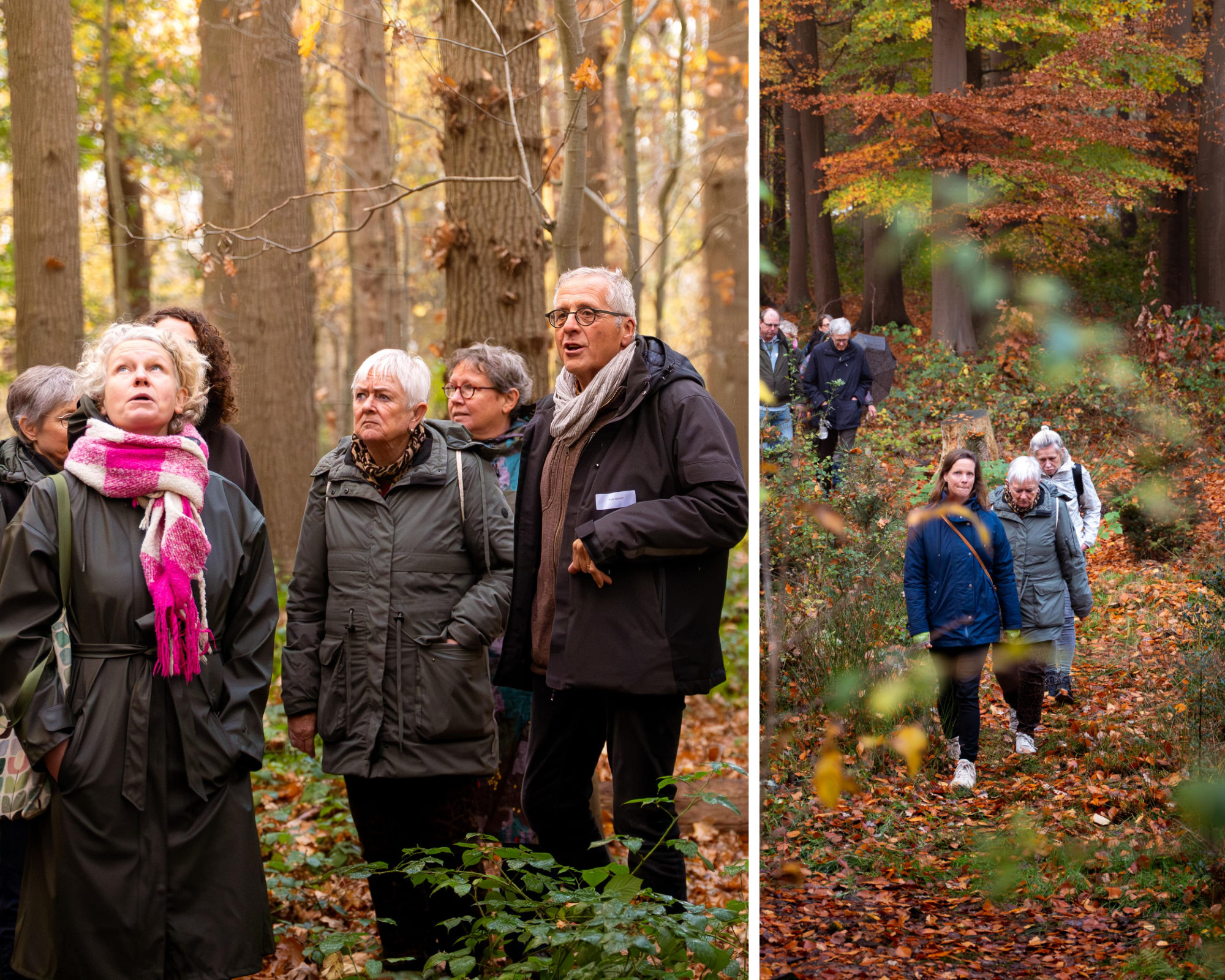 Een groep mensen wandelt door een herfstbos, met kleurrijke bladeren om hen heen.