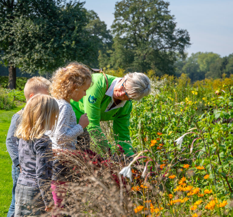 Persoon in groene jas toont kinderen bloemen in een zonnige tuin.