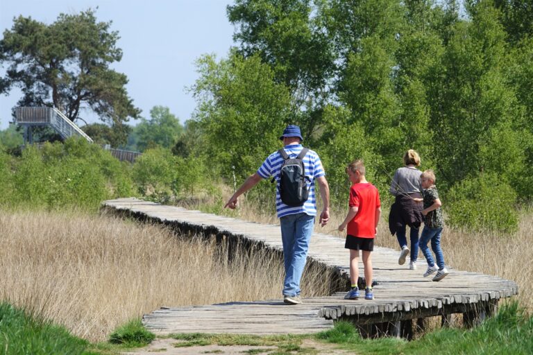 Mensen wandelen op een houten pad in een groen natuurgebied met een uitkijktoren in de verte.