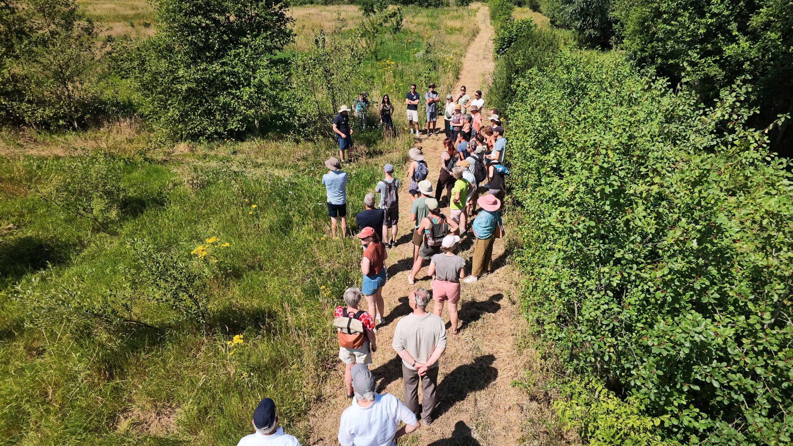 Een groep mensen luistert naar een spreker op een pad omgeven door groene struiken en gras.
