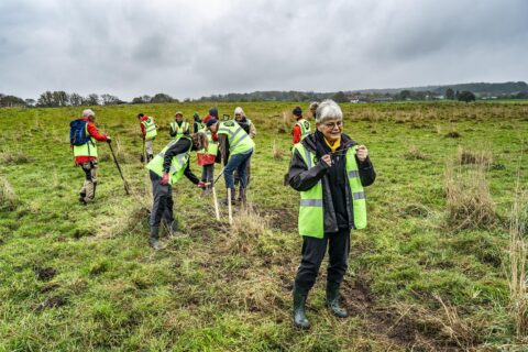 Mensen planten bomen in een veld, dragen neon veiligheidshesjes en gebruiken spades.