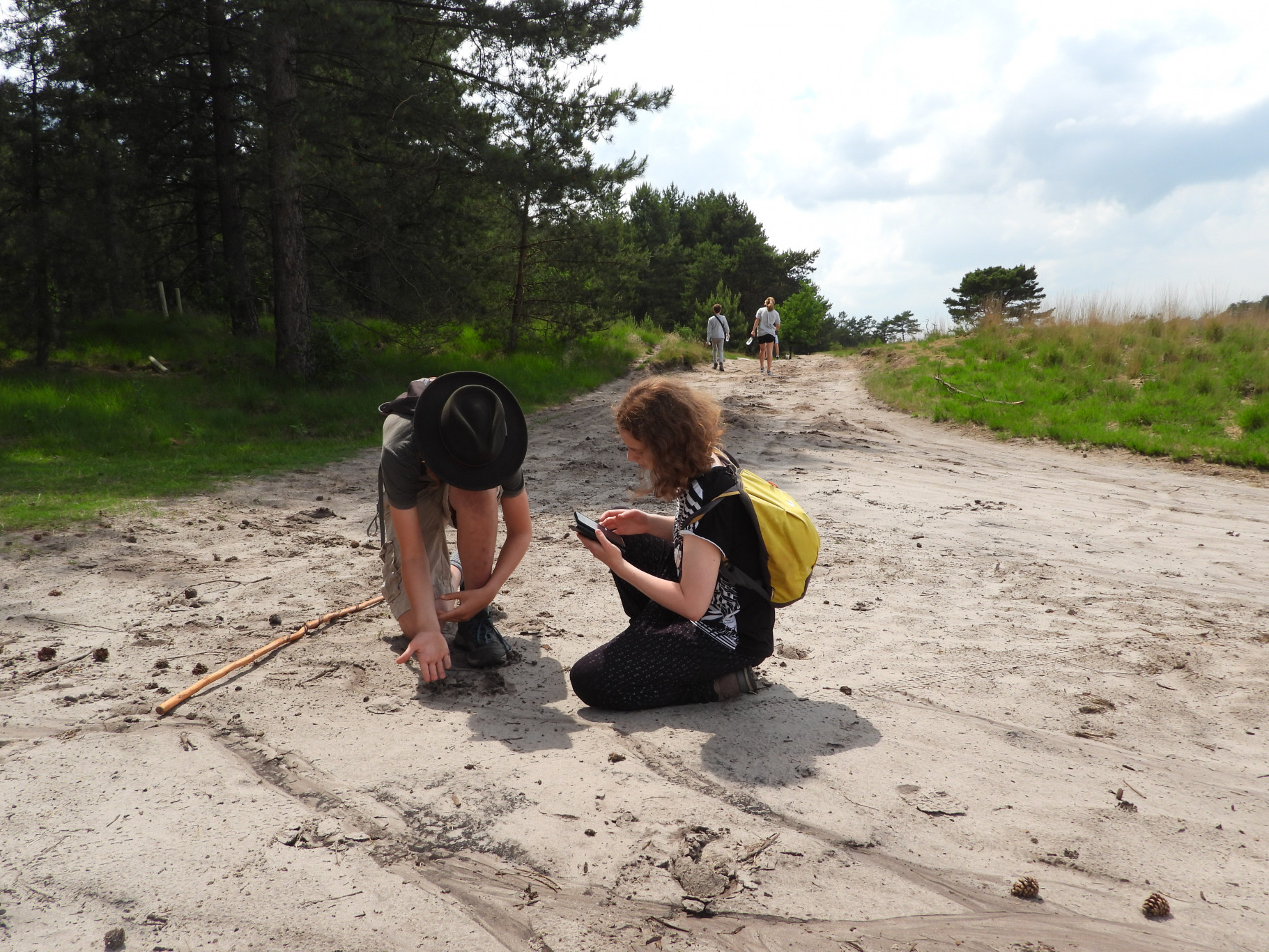 Junior Heide Rangers in het Grenspark Kalmthoutse Heide