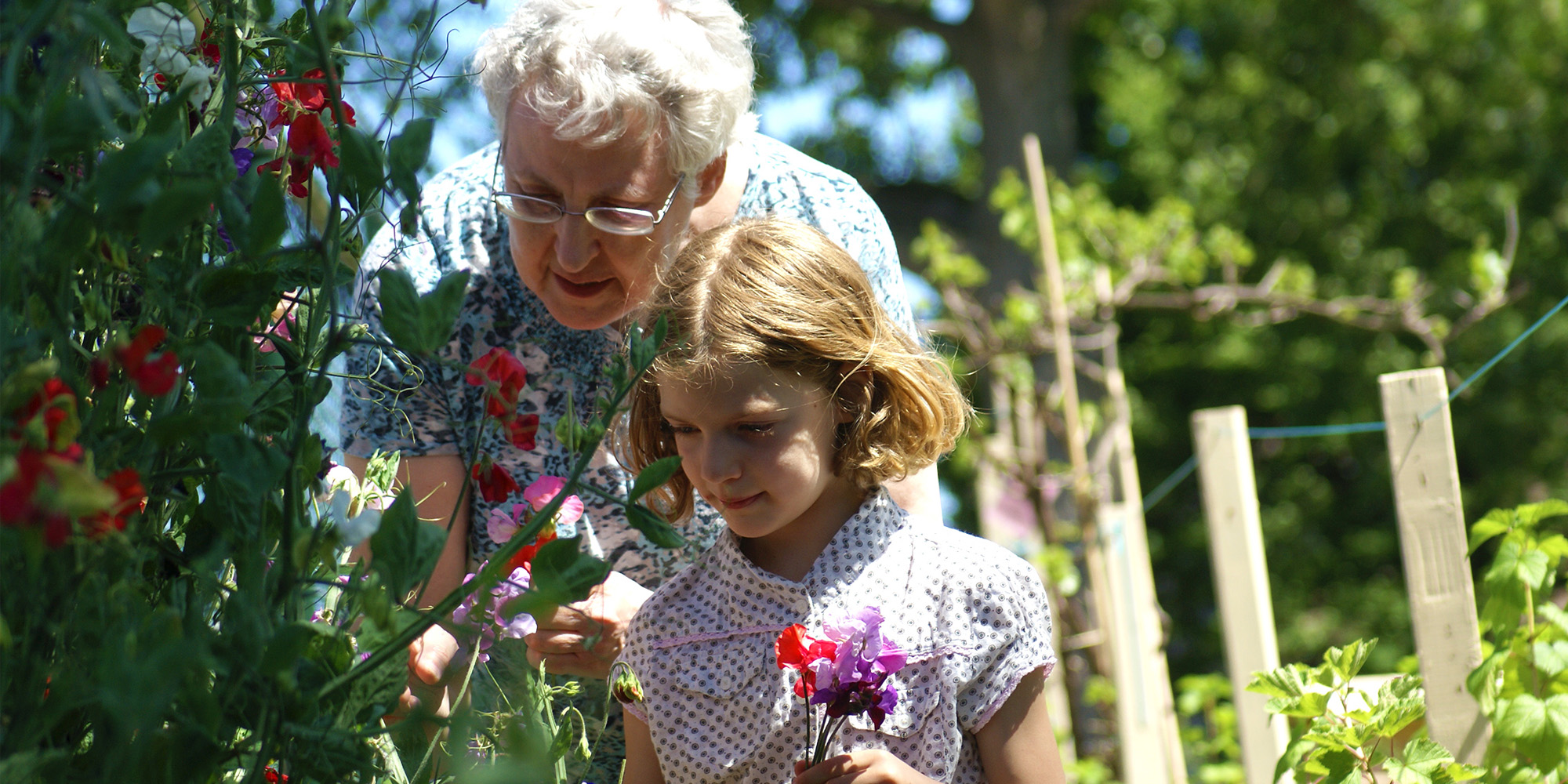 Oudere met kind bij bloemenstruik