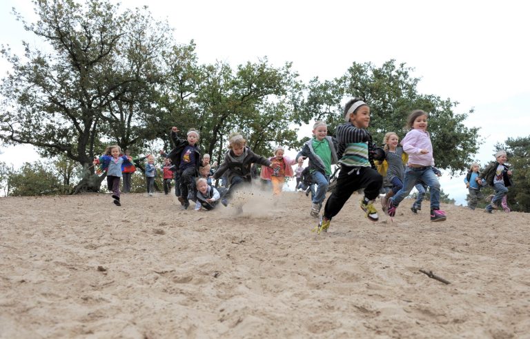 Kinderen rennen van zandduin af tijdens scholenprogramma Takkenhoedjes in Nationaal Park De Loonse en Drunense Duinen