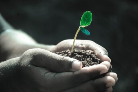 natuur in eigen hand
