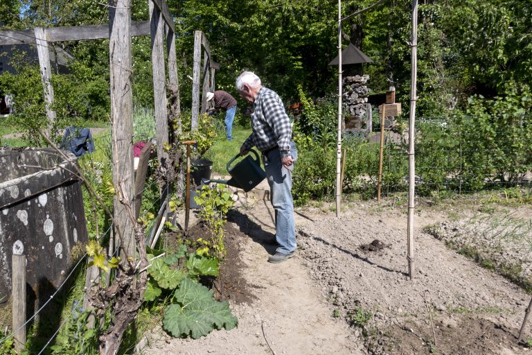 Mensen werken in buurttuin