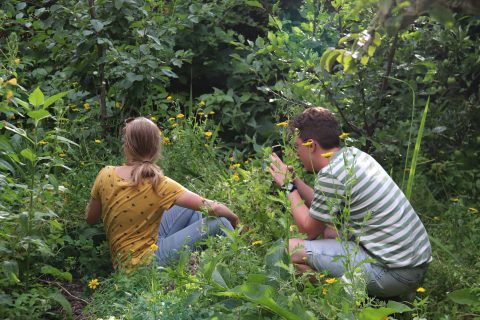 Jongeren in natuur tijdens Nature Bit