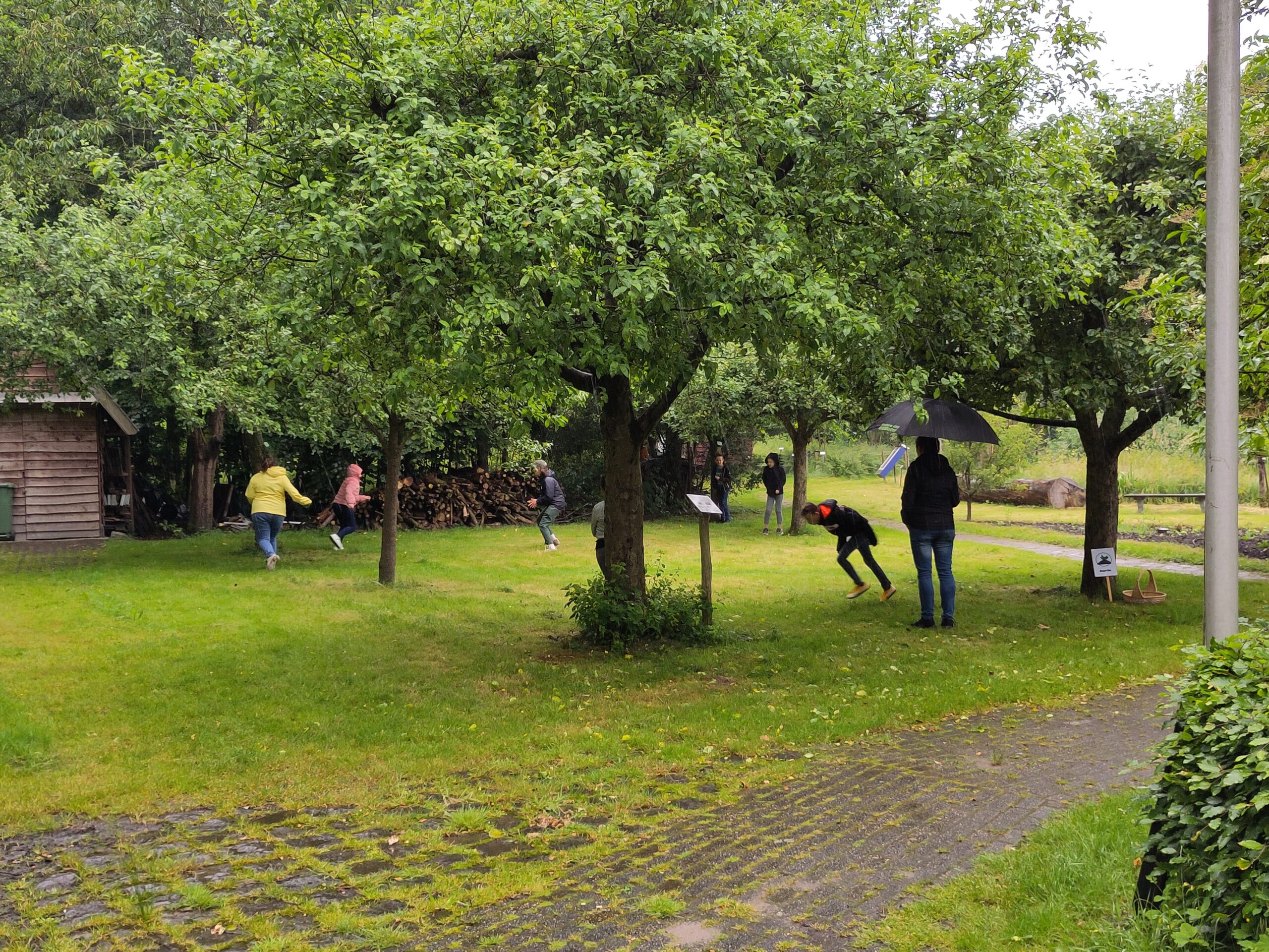Mensen spelen en wandelen onder bomen in een groene tuin, terwijl het licht regent.