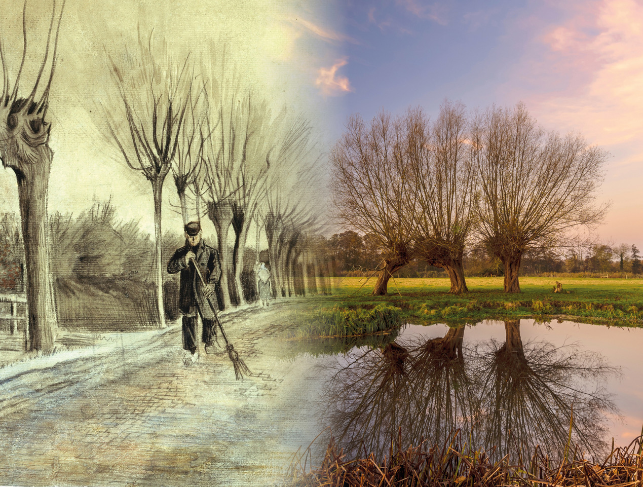 Een tekening van een boomrijke laan naast een veld met bomen weerspiegeld in water, bij zonsondergang.