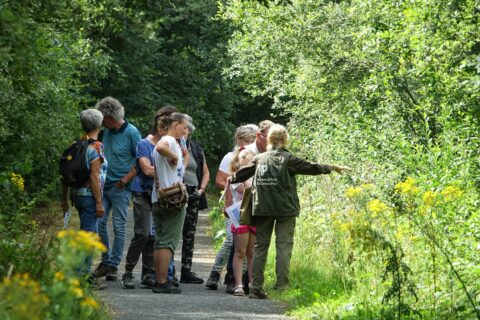 Groep mensen op natuurwandeling, gids wijst naar planten langs een groen pad.