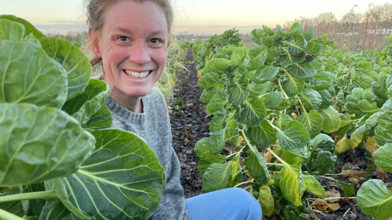 Vrouw glimlacht tussen groene koolplanten op een zonnige dag op het veld.