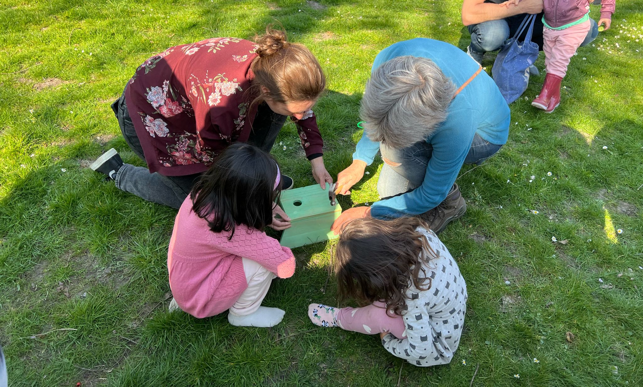 Groep mensen werkt samen aan een nestkast op gras in de buitenlucht.