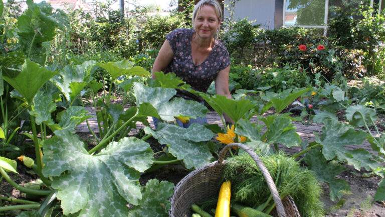 Vrouw in tuin oogst groenten met mand vol courgettes en groen loof, omgeven door planten.