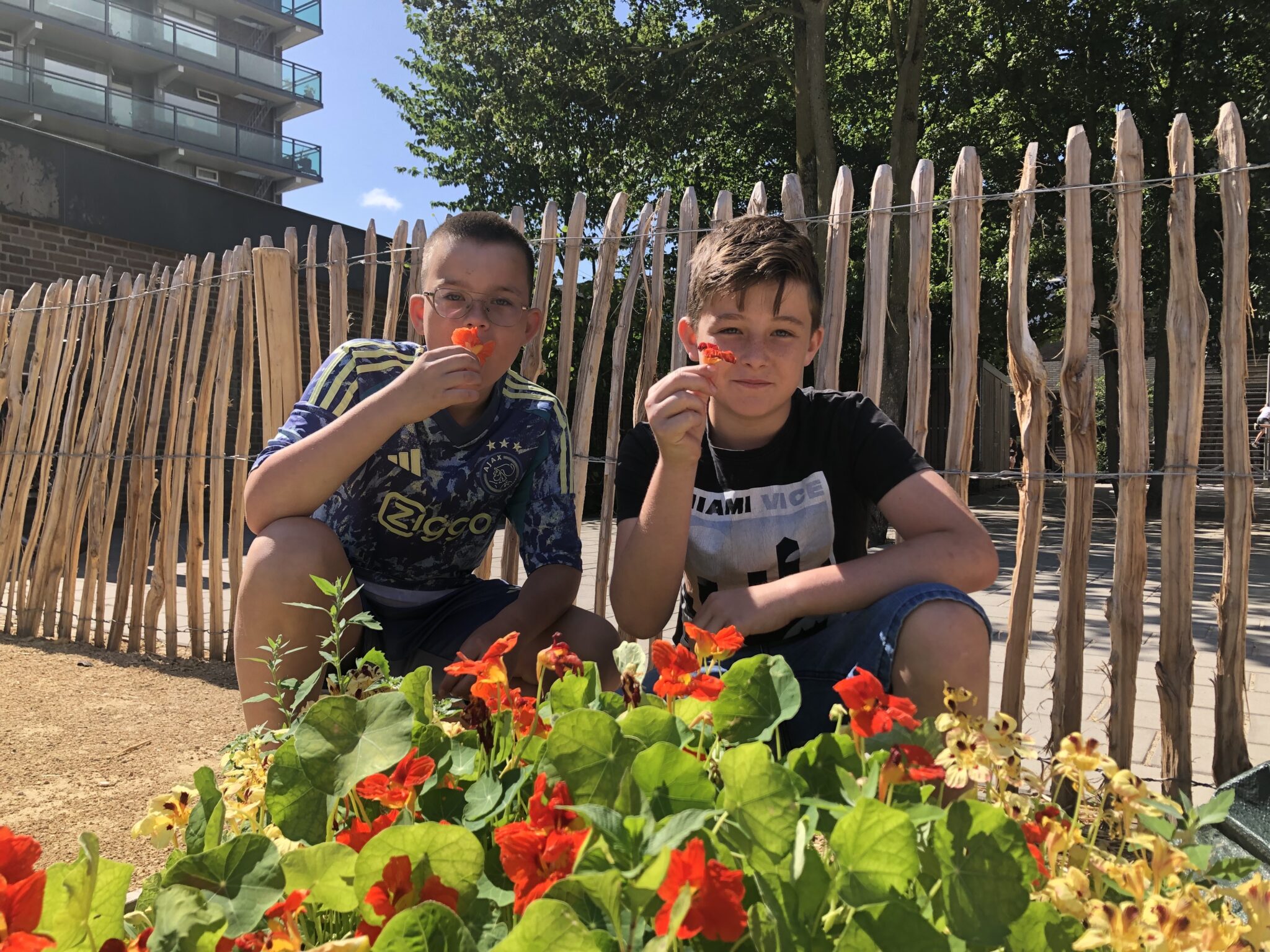 Twee kinderen ruiken oranje bloemen naast een houten hekwerk in een zonnige tuin.