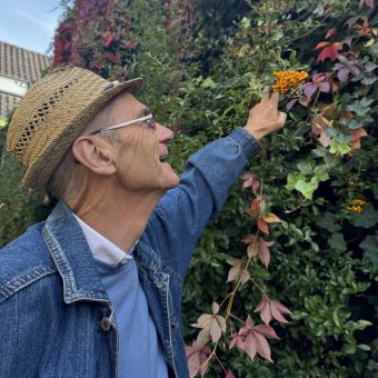 Een man met een hoed plukt bessen van een met klimop begroeide muur.