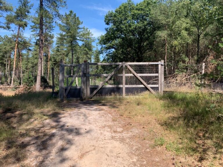 Houten poort bij een bospad, omgeven door groene bomen onder een blauwe hemel.