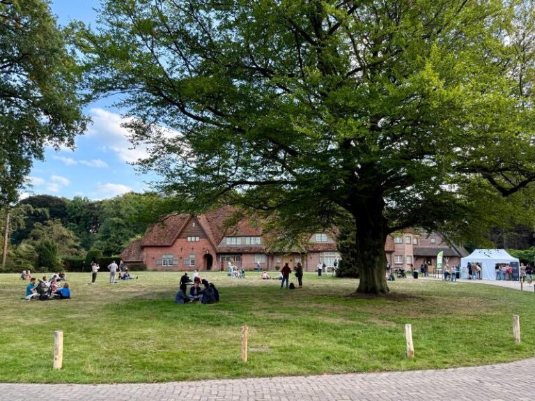 Groene grasveld met mensen, grote boom en bakstenen gebouw op de achtergrond.