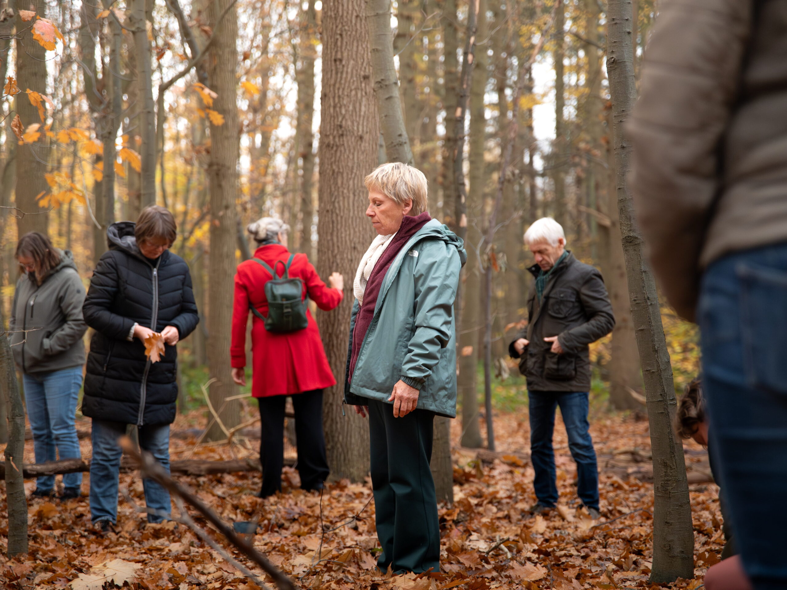 Groep mensen staand in een herfstbos, rustig en geconcentreerd verspreid tussen de bomen.