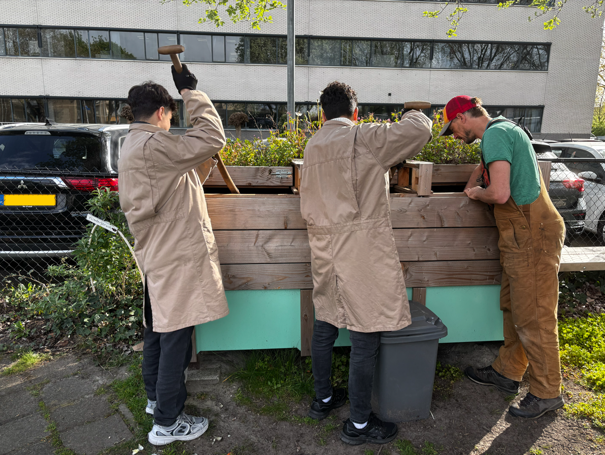 Drie mensen hameren op een houten tuinbak naast een geparkeerde auto en een gebouw.