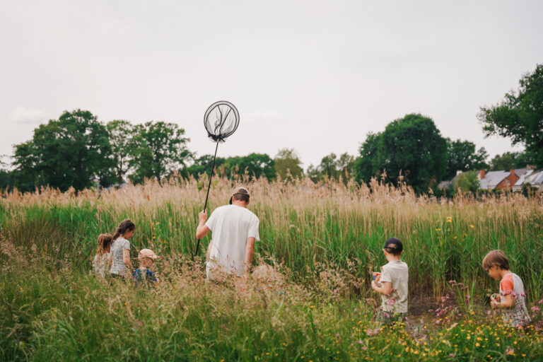 Een volwassene en kinderen lopen door een veld met een vlindernet in zomers landschap.