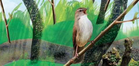 Zingende vogel op tak te midden van groene, abstracte achtergrond.