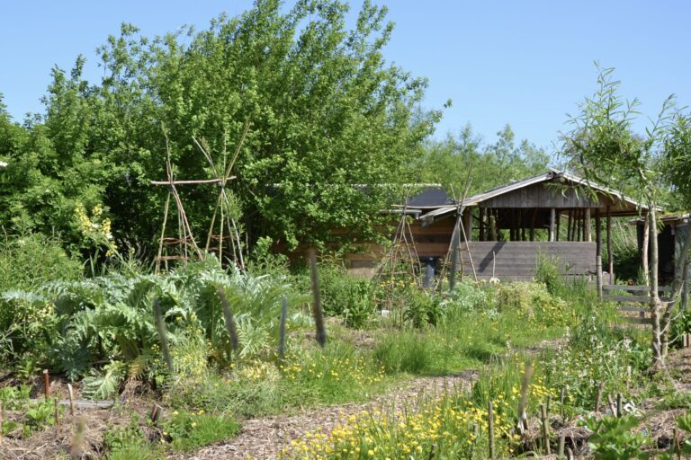 Weelderige tuin met groene planten, houten hut en bamboestructuren onder blauwe hemel.