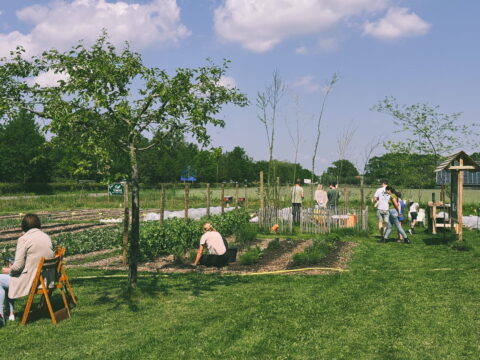 Mensen werken en ontspannen in een gemeenschappelijke tuin onder een blauwe hemel.