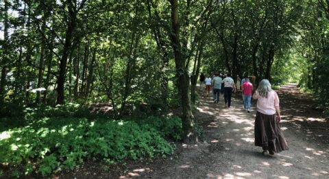 Mensen wandelen over een bospad omringd door dicht groen gebladerte.